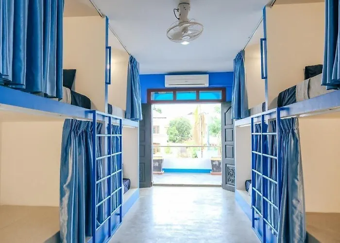 Hostel Last Summer Bar *