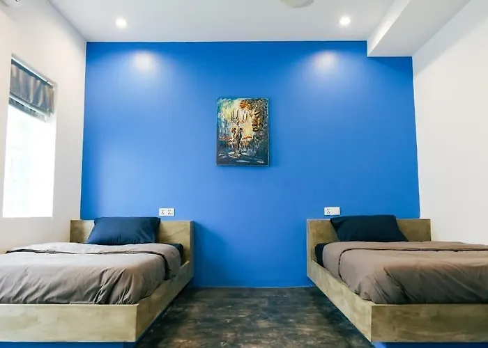 Last Summer Bar Hostel